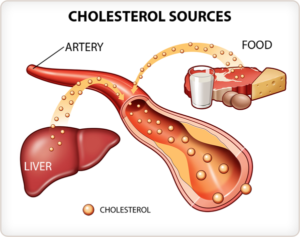 COLESTEROL SOURCES